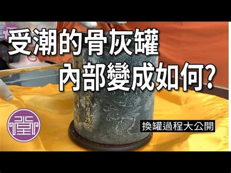 骨灰罈 入 家族墓